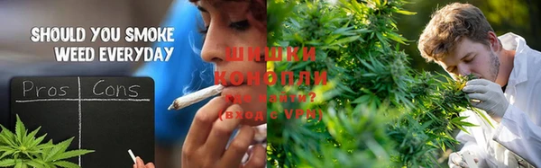 таблы Бородино