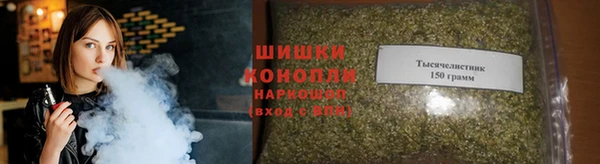 тгк Бронницы