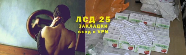 таблы Бородино