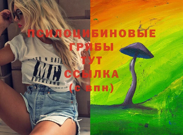 таблы Бородино