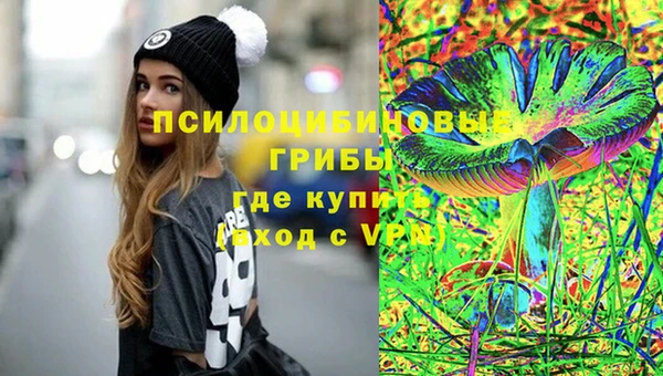 таблы Бородино