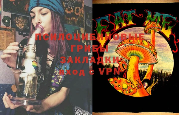 таблы Бородино