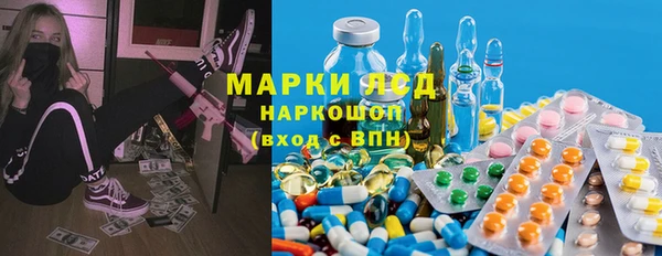 таблы Бородино