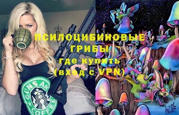 таблы Бородино