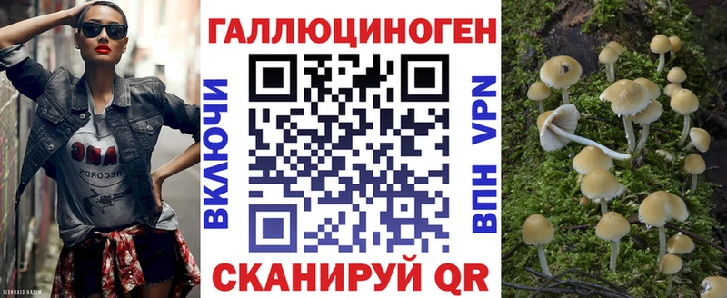 Купить  Мглин  Галлюциногенные грибы MAGIC MUSHROOMS 